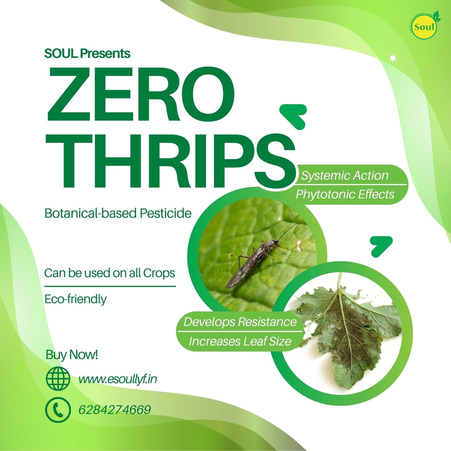 Botanical Pesticide | Zero Thrips - SOUL SOCIETY FOR ORGANIC FARMING