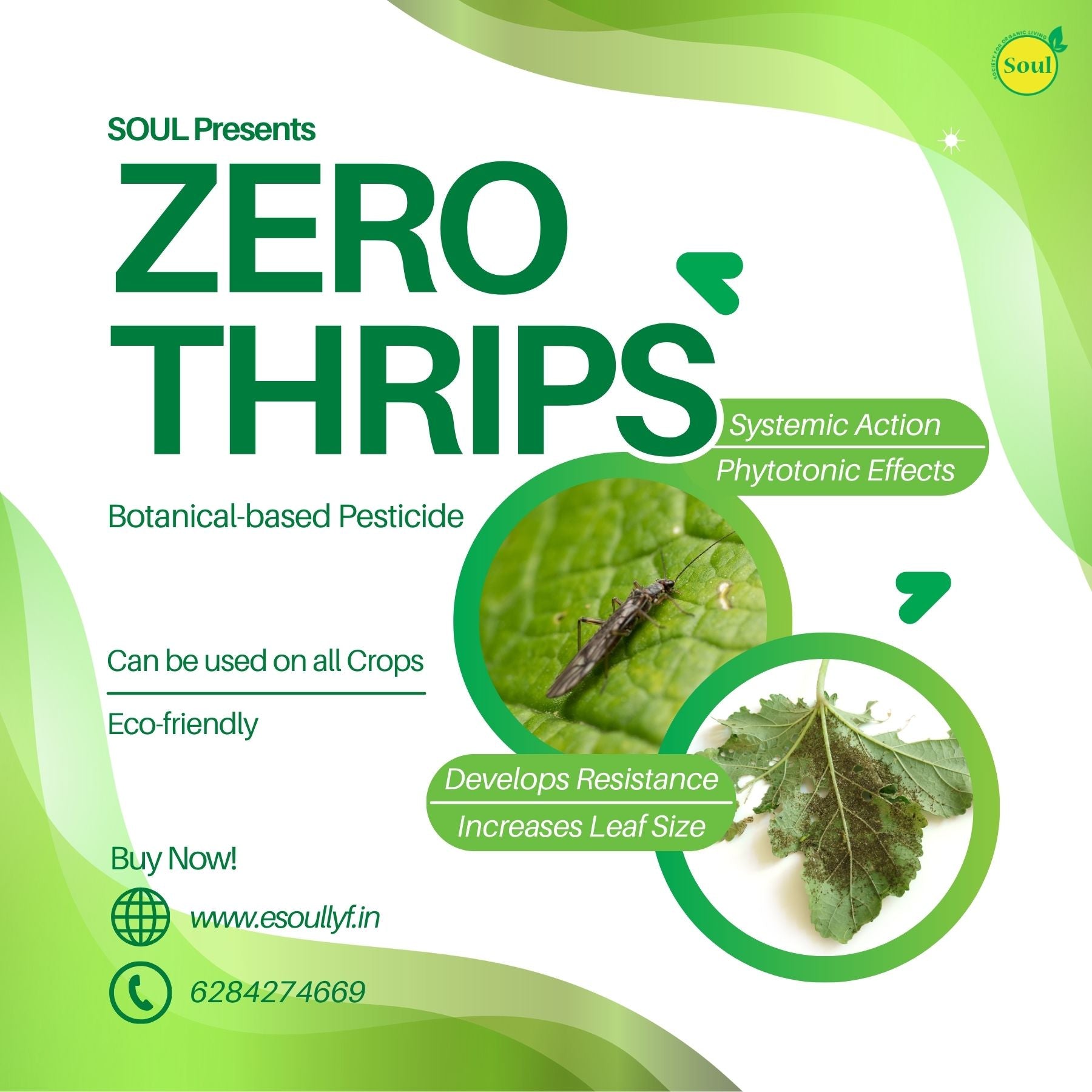 Botanical Pesticide | Zero Thrips - SOUL SOCIETY FOR ORGANIC FARMING