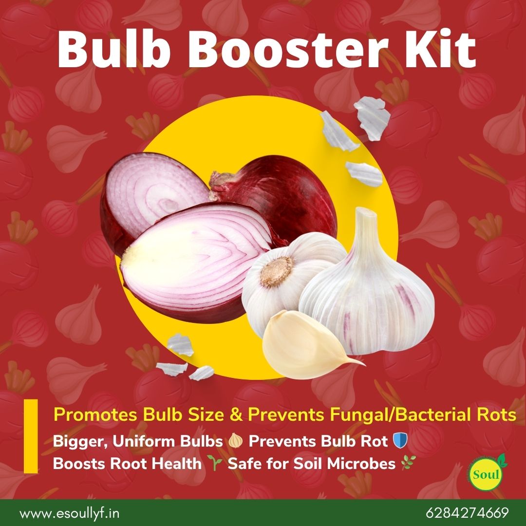 Bulb Booster Kit - SOUL SOCIETY FOR ORGANIC FARMING