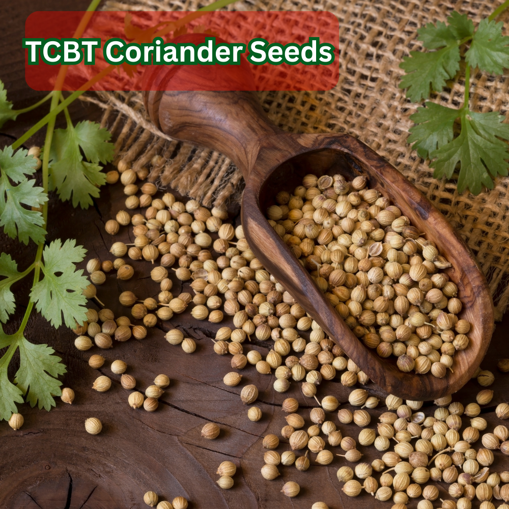 TCBT Desi Dhaniya Coriander Seeds