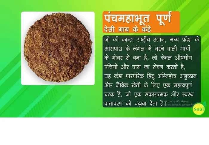 Cow Kanda | Agnihotra | Panchmahabhoot Purn Desi Forest grazing | Cow Dung Cake | Uple | Kande - SOUL SOCIETY FOR ORGANIC FARMING