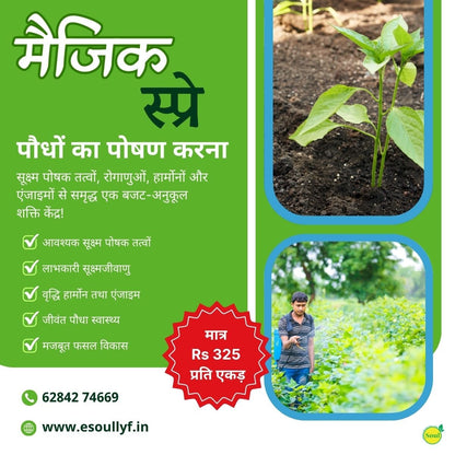 Magic Spray | Plant Nutrition - SOUL SOCIETY FOR ORGANIC FARMING