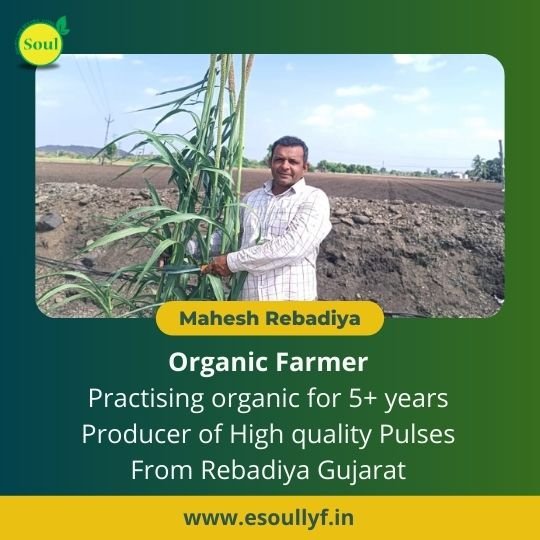 Moong Dal (With Chilka) by Mahesh Rebadiya - SOUL SOCIETY FOR ORGANIC FARMING