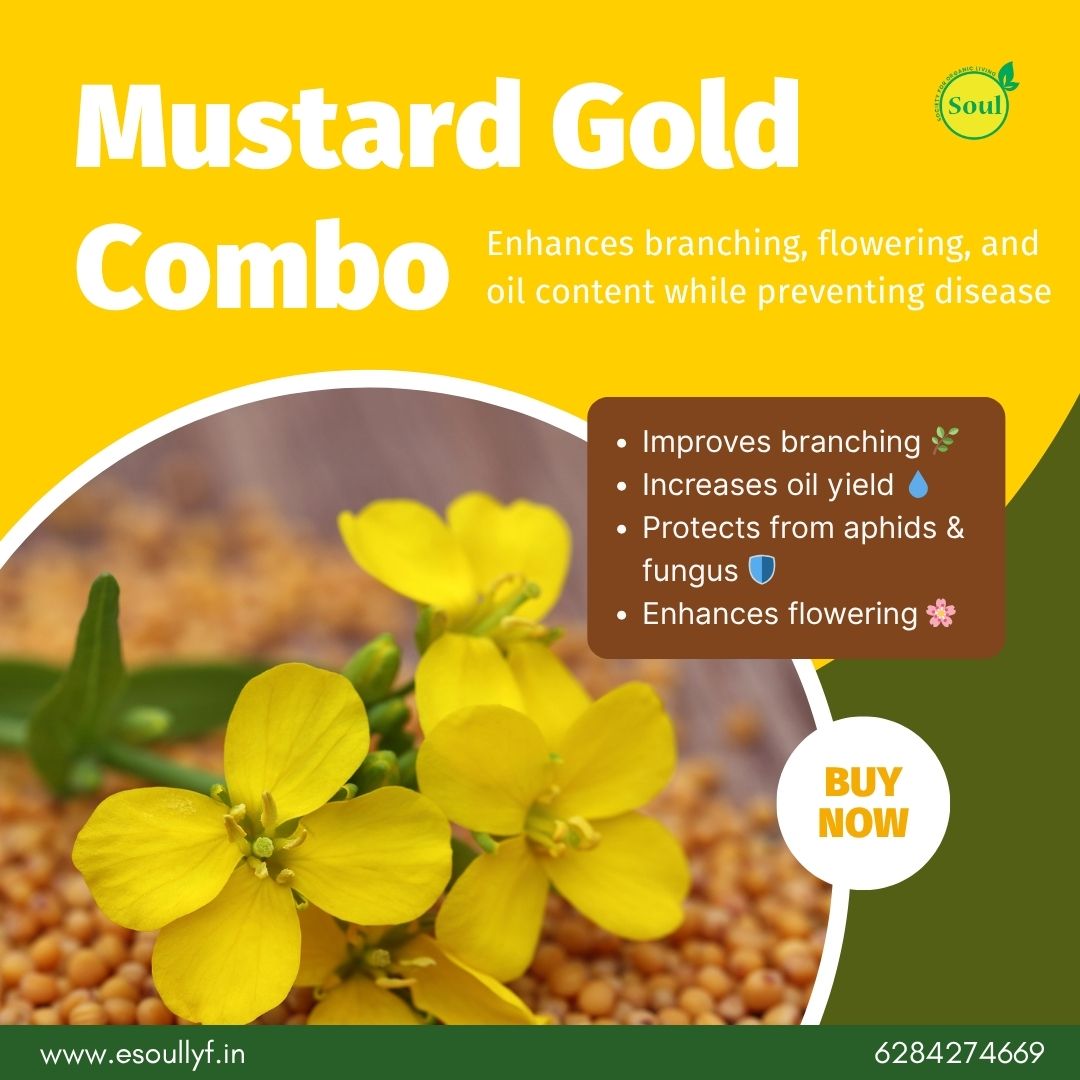 Mustard Gold Combo - SOUL SOCIETY FOR ORGANIC FARMING