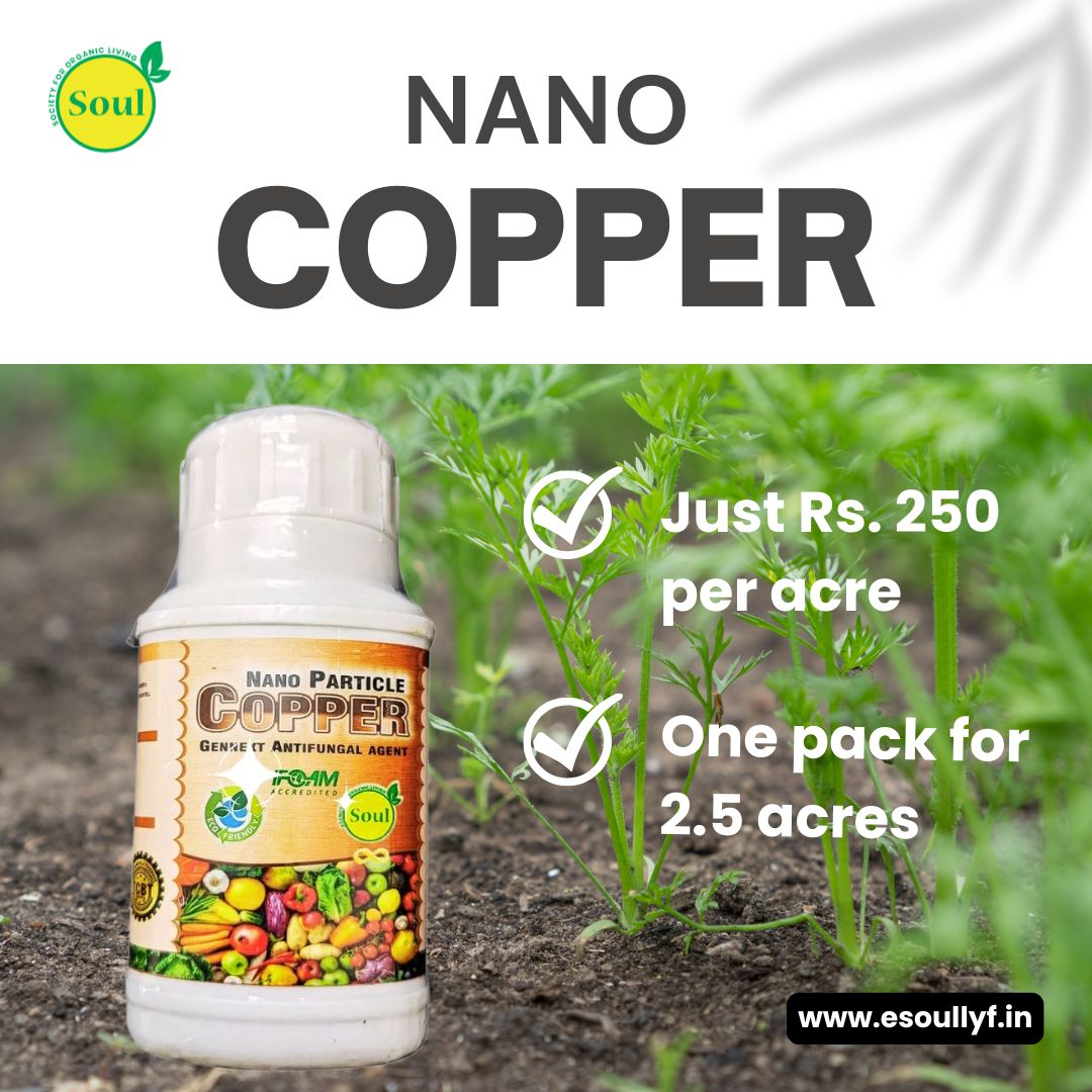 Nano Copper | Advanced Replacement of Copper Oxychloride | Potent Cure for Fungal Diseases (Phytophthora, Fusarium, Root Rot) - SOUL SOCIETY FOR ORGANIC FARMING