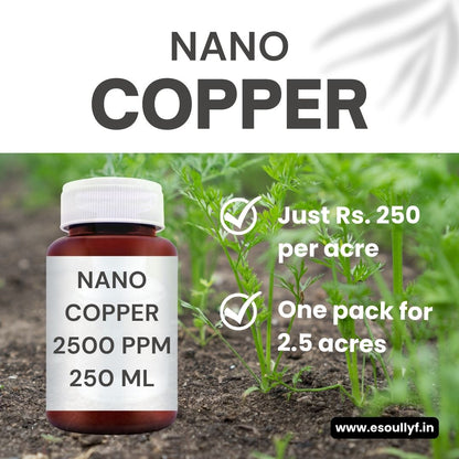 Nano Copper | Advanced Replacement of Copper Oxychloride | Potent Cure for Fungal Diseases (Phytophthora, Fusarium, Root Rot) - SOUL SOCIETY FOR ORGANIC FARMING