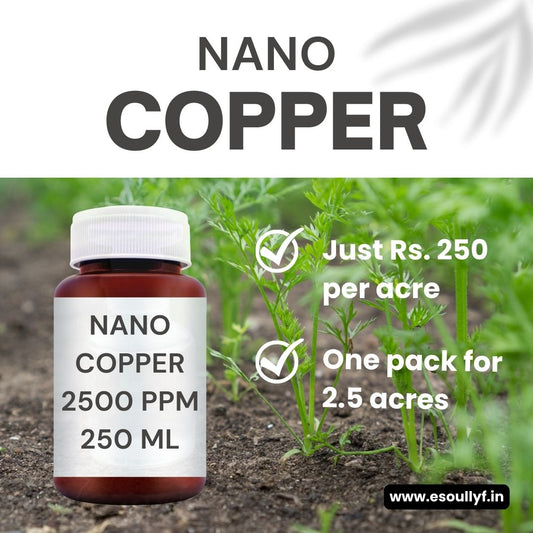 Nano Copper | Advanced Replacement of Copper Oxychloride | Potent Cure for Fungal Diseases (Phytophthora, Fusarium, Root Rot) - SOUL SOCIETY FOR ORGANIC FARMING