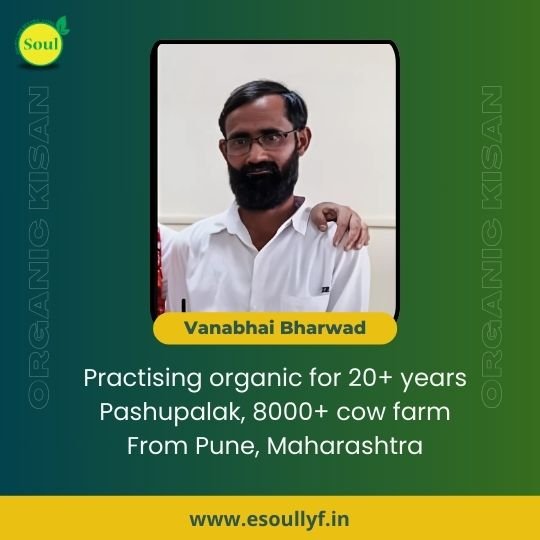Natural A2 Cow Ghee by Vanabhai Bharwad - SOUL SOCIETY FOR ORGANIC FARMING
