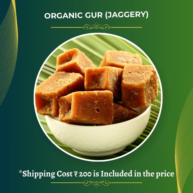 Natural Gur | Jaggery by Krishna Kumar Verma - SOUL SOCIETY FOR ORGANIC FARMING