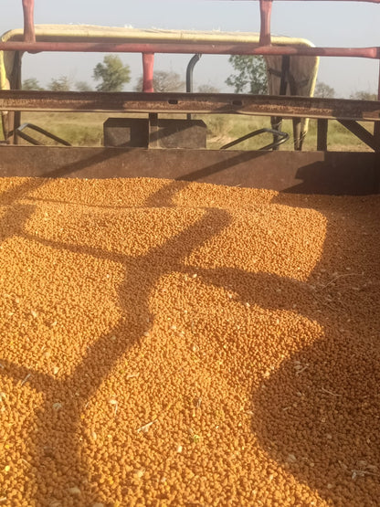 Organic Chole | Chickpea - Desi Daftari 21 by Gajanan Kashiram - SOUL SOCIETY FOR ORGANIC FARMING