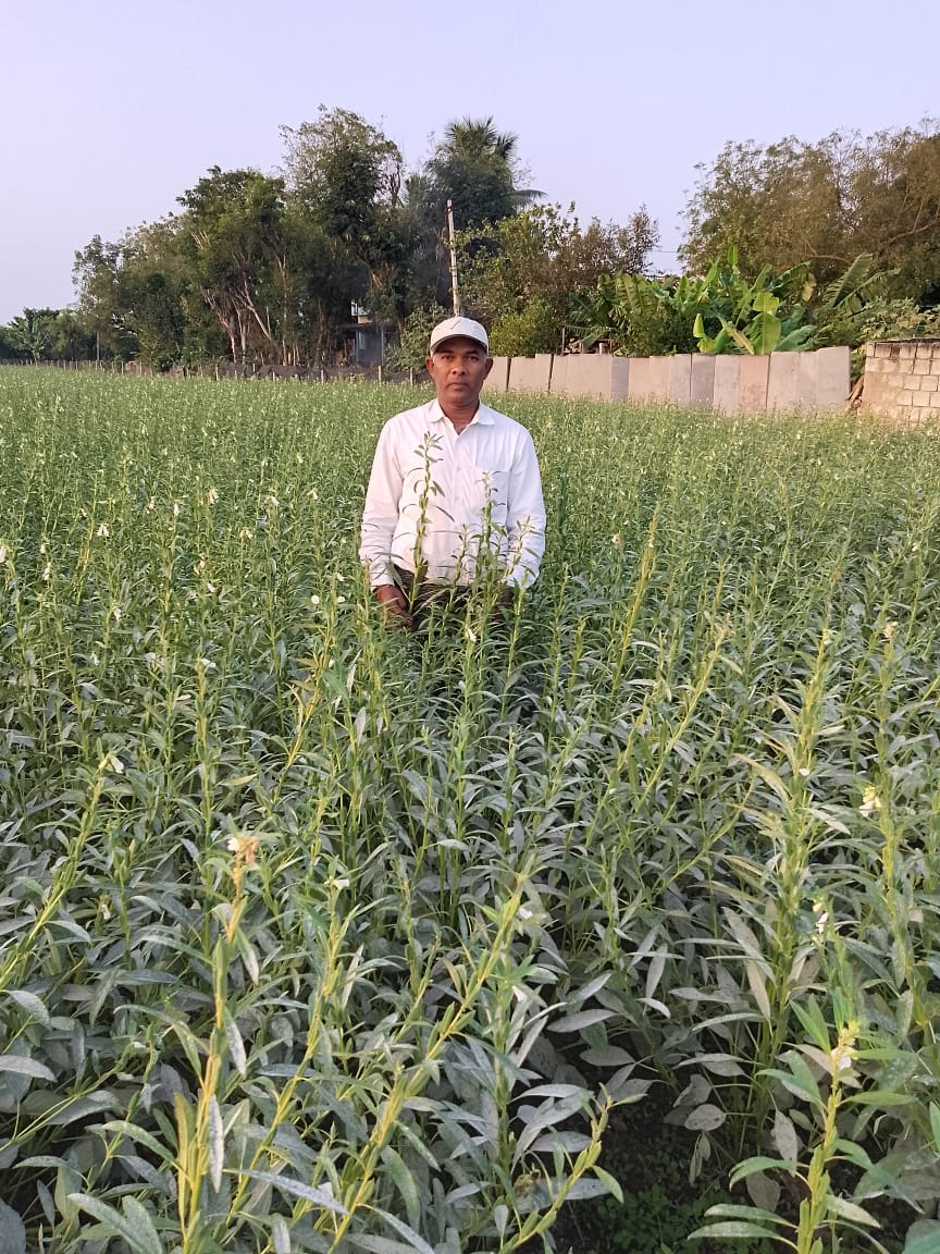 Organic Haldi | Turmeric Seeds by Bala Chander - SOUL SOCIETY FOR ORGANIC FARMING