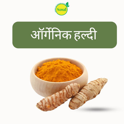 Organic Haldi | Turmeric Seeds by Bala Chander - SOUL SOCIETY FOR ORGANIC FARMING