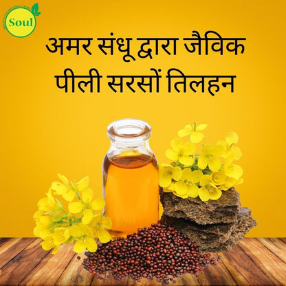Organic Yellow Mustard Oilseeds by Amar Sandhu - SOUL SOCIETY FOR ORGANIC FARMING
