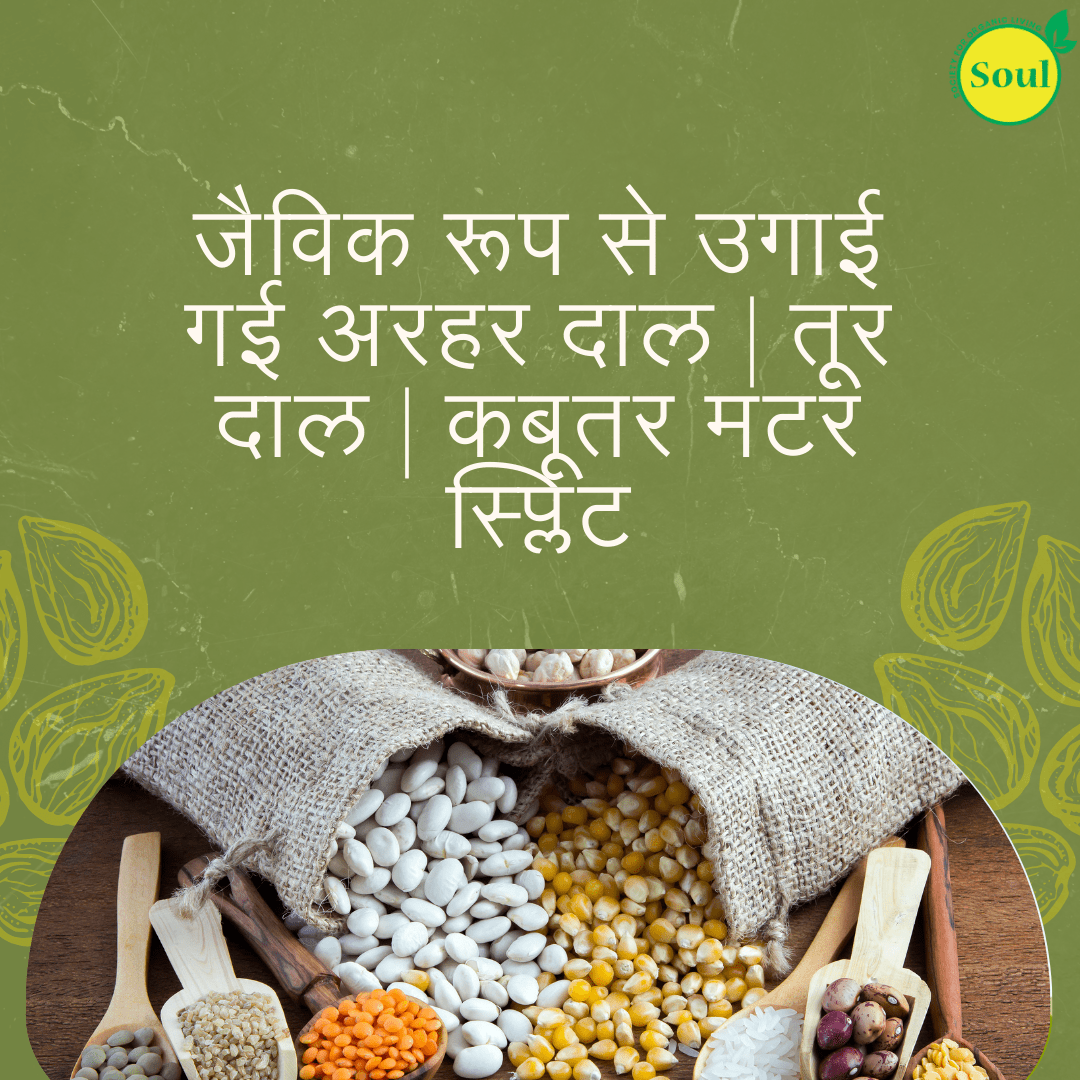 Organically Grown Arhar Dal | Toor Dal | Pigeon Pea Split - SOUL SOCIETY FOR ORGANIC FARMING