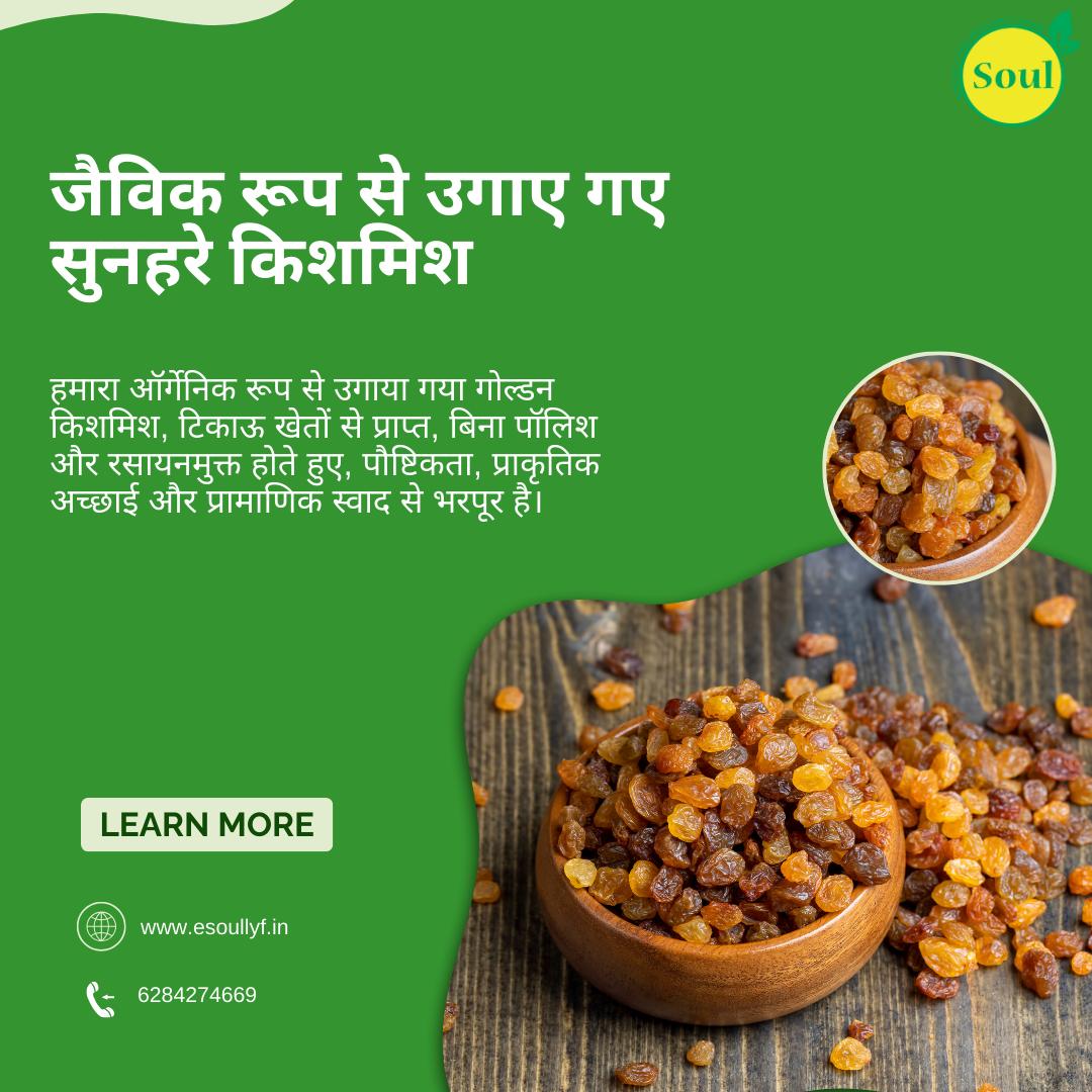 Organically Grown Golden Raisins | Kismis - SOUL SOCIETY FOR ORGANIC FARMING