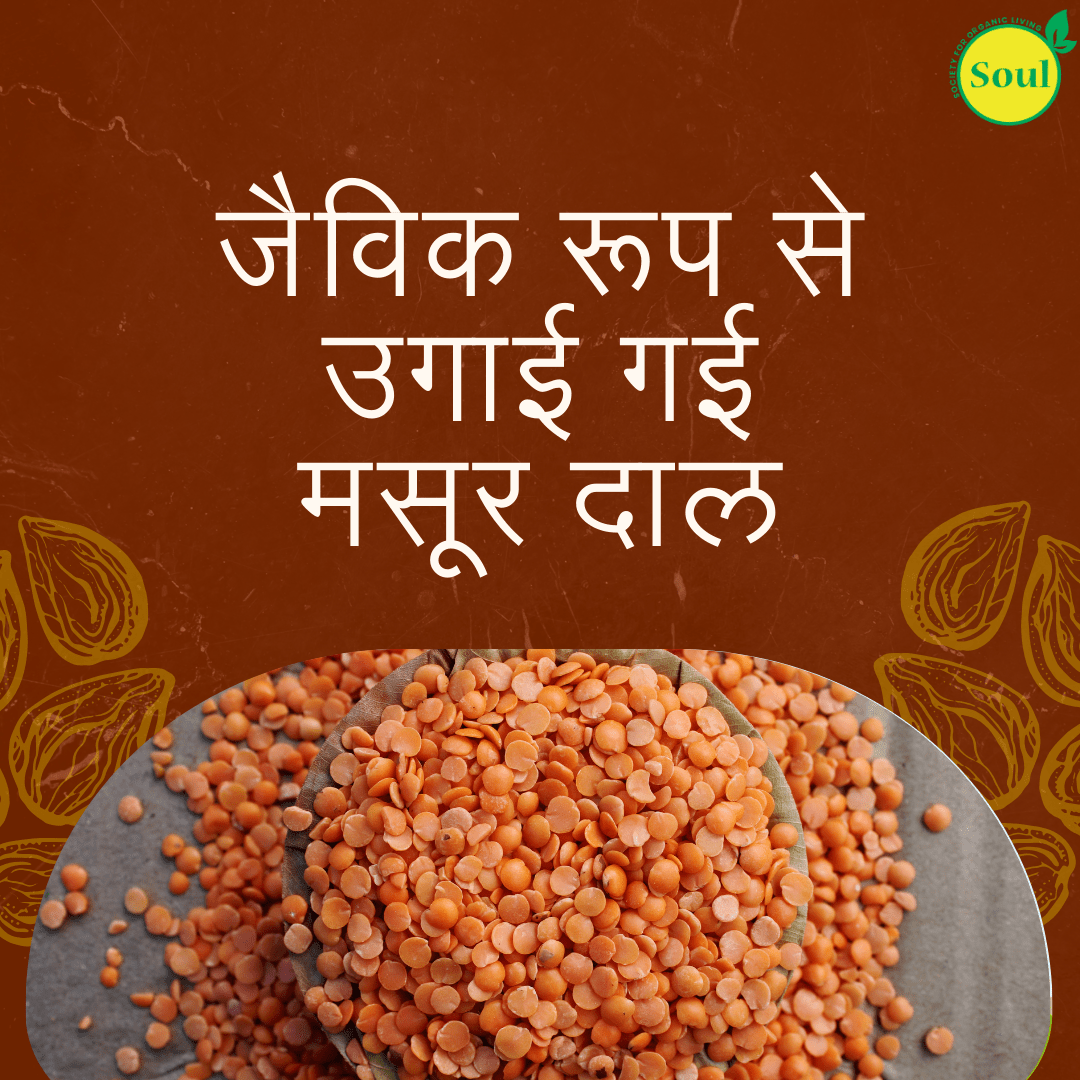Organically Grown Masoor Dal | Red Lentil Split - SOUL SOCIETY FOR ORGANIC FARMING
