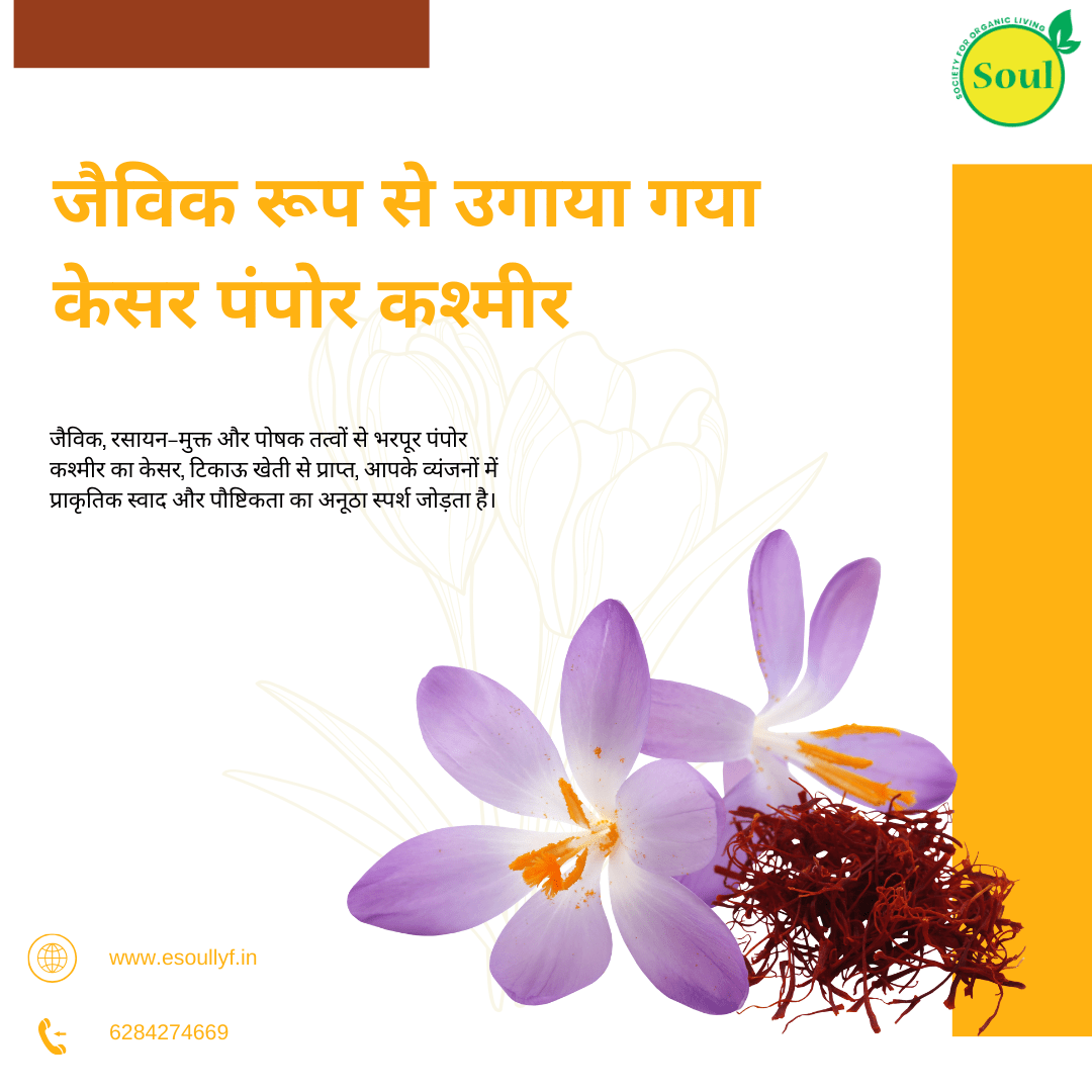 Organically Grown Saffron Pampore Kashmir - SOUL SOCIETY FOR ORGANIC FARMING