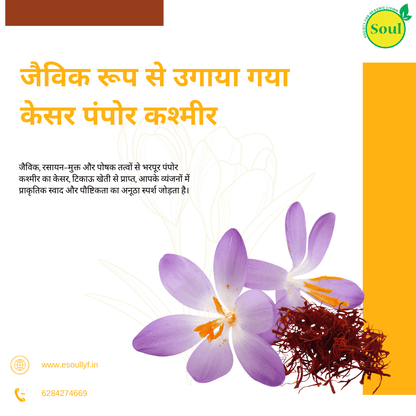 Organically Grown Saffron Pampore Kashmir - SOUL SOCIETY FOR ORGANIC FARMING
