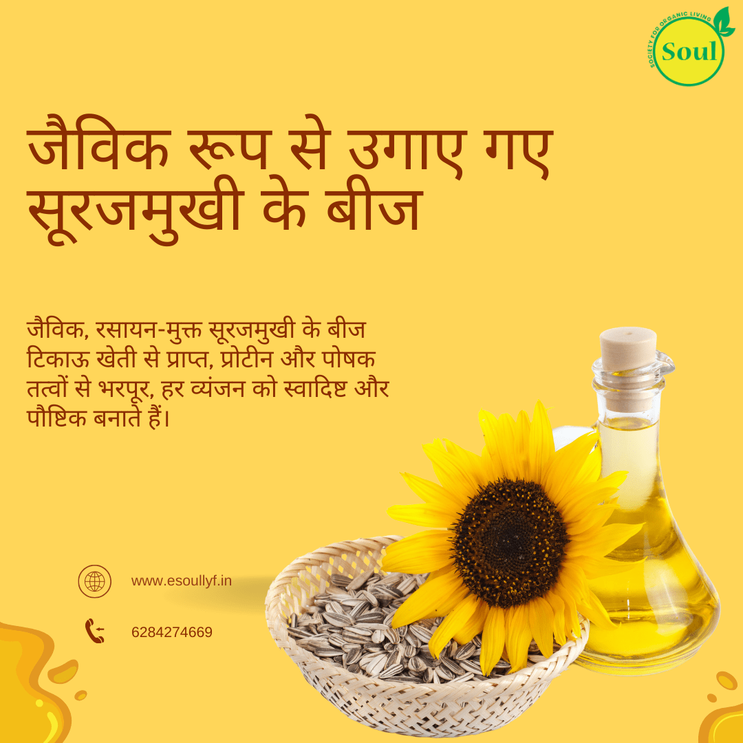 Organically Grown Sunflower Seed | Sunflower Seeds | Desi - SOUL SOCIETY FOR ORGANIC FARMING