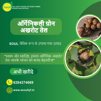 Organically Grown Walnut Oil - SOUL SOCIETY FOR ORGANIC FARMING