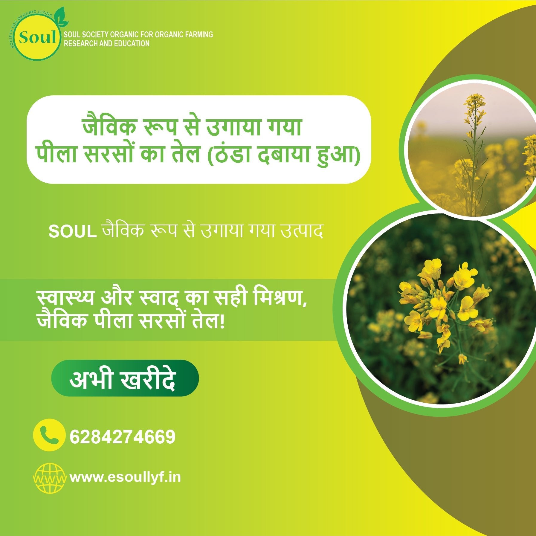 Organically Grown Yellow Mustard Oil | Cold Pressed - SOUL SOCIETY FOR ORGANIC FARMING