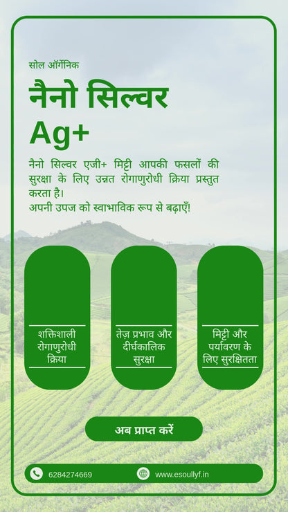 नैनो सिल्वर AG+ | जीवाणु और वायरल रोगों (ब्लाइट, लीफ कर्ल, CMV) और फंगल संक्रमण (फाइटोफ्थोरा, फ्यूजेरियम, रूट रॉट) के लिए नियंत्रण