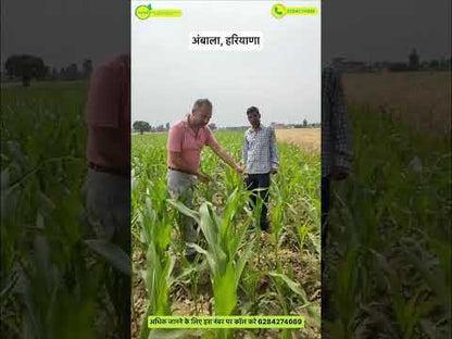 सुपर मृदा