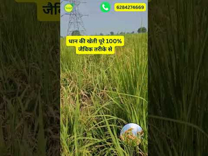 SOUL All Rounder – Double Action: Nutrition + Protection for Every Crop