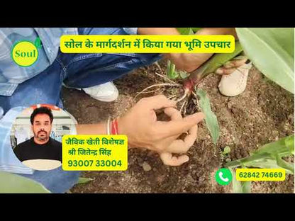 नैनो माइकोराइजा | महिराज़ा 250 ग्राम