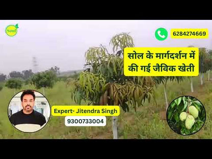 Botanical Insecticide | Ram Baan