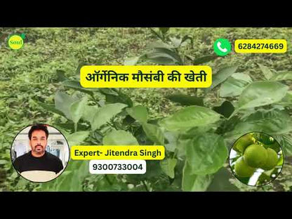 Botanical Insecticide | Ram Baan