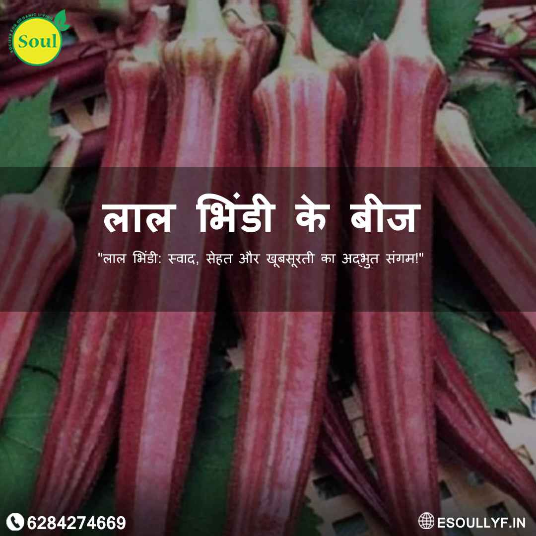 Red Lady Finger Seeds - SOUL SOCIETY FOR ORGANIC FARMING