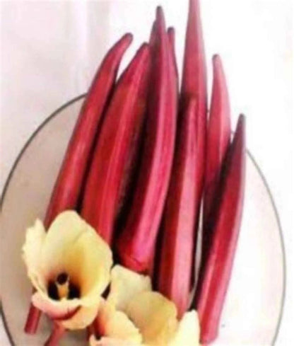 Red Lady Finger Seeds - SOUL SOCIETY FOR ORGANIC FARMING