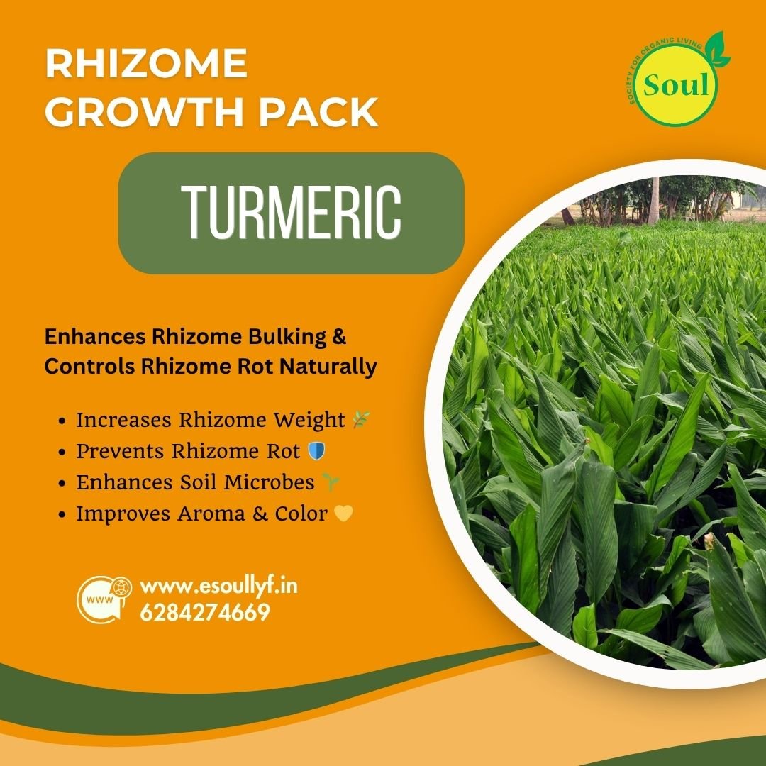Rhizome Growth Pack - SOUL SOCIETY FOR ORGANIC FARMING