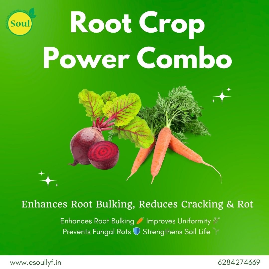 Root Crop Power Combo - SOUL SOCIETY FOR ORGANIC FARMING