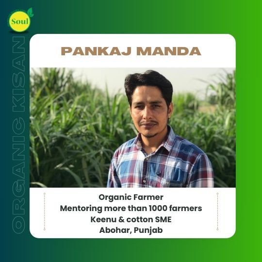 Saunf by Pankaj Manda - SOUL SOCIETY FOR ORGANIC FARMING