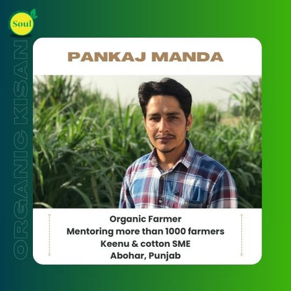 Saunf by Pankaj Manda - SOUL SOCIETY FOR ORGANIC FARMING