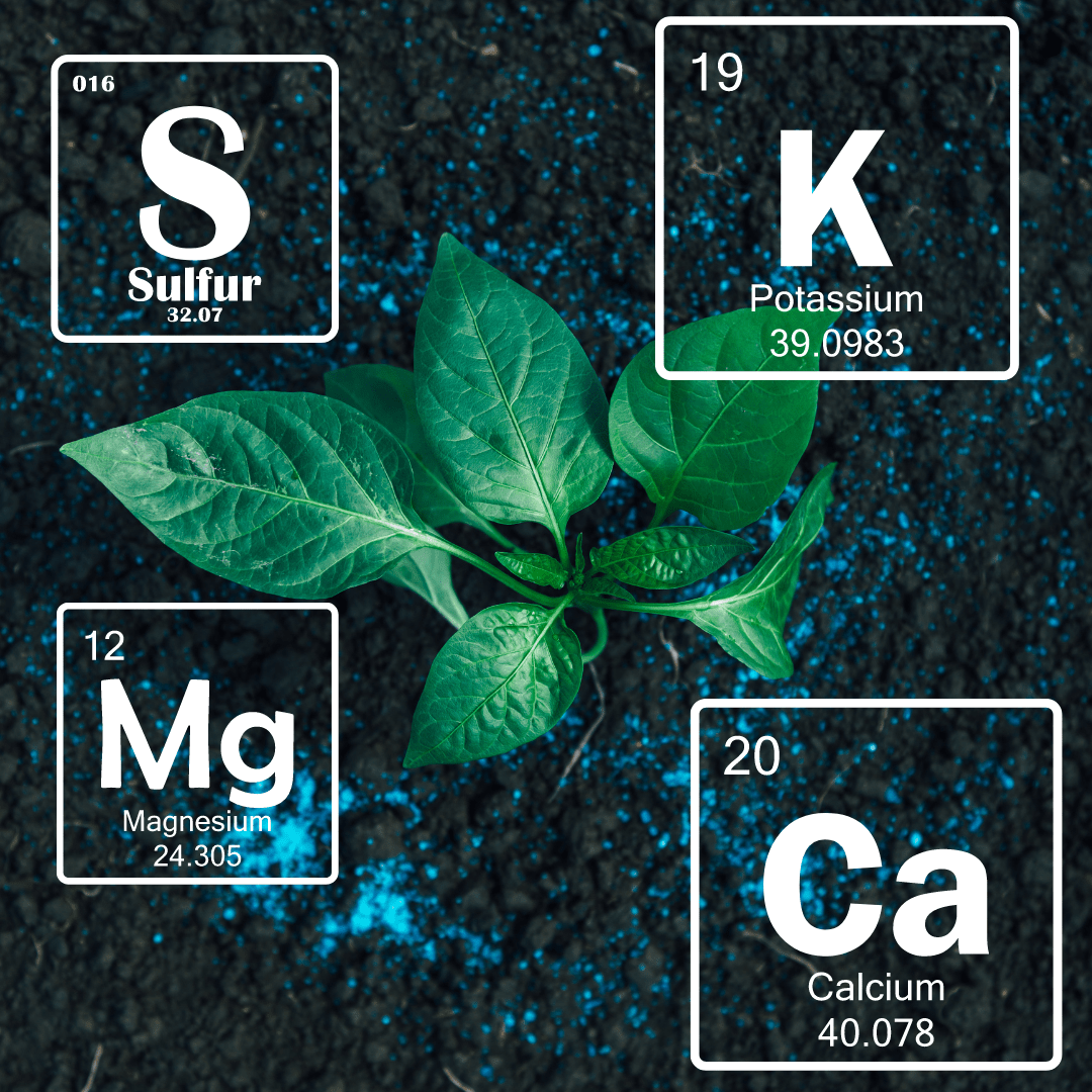 Sea Mineral | Samudra Khanij | Sea Mineral (Ca - 17%, S - 48%, Mg 5%, K - 14%), Calcium Sulphur Mineral 24:35 - SOUL SOCIETY FOR ORGANIC FARMING