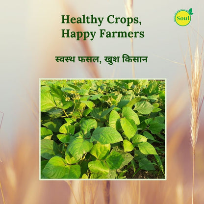 SOUL All Rounder – Double Action: Nutrition + Protection for Every Crop - SOUL SOCIETY FOR ORGANIC FARMING