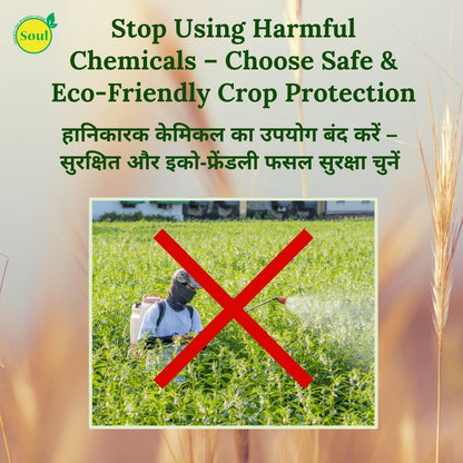 SOUL All Rounder – Double Action: Nutrition + Protection for Every Crop - SOUL SOCIETY FOR ORGANIC FARMING