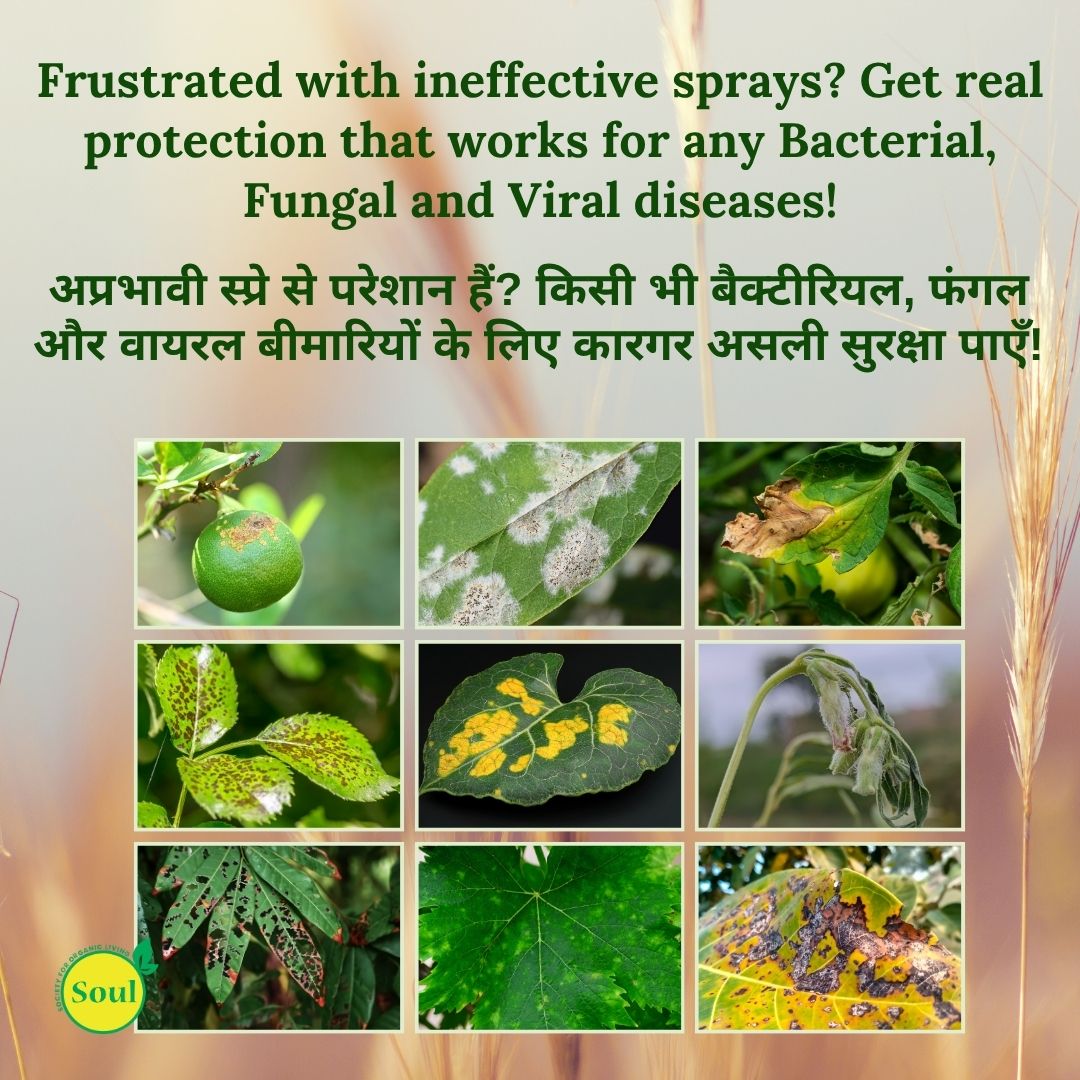 SOUL All Rounder – Double Action: Nutrition + Protection for Every Crop - SOUL SOCIETY FOR ORGANIC FARMING