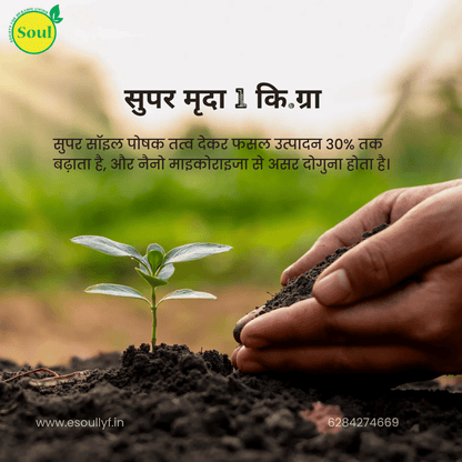 Super Soil - SOUL SOCIETY FOR ORGANIC FARMING