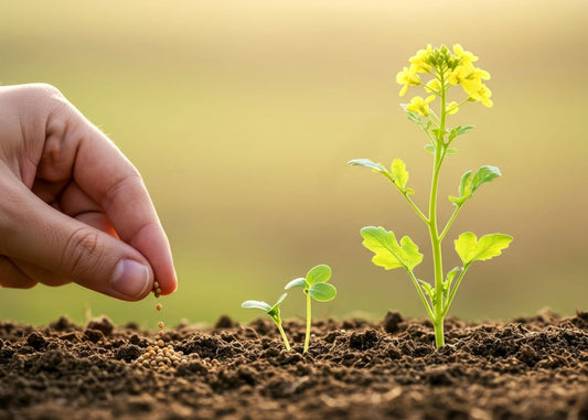 TCBT Panchmahabhoot Krishi Book - SOUL SOCIETY FOR ORGANIC FARMING