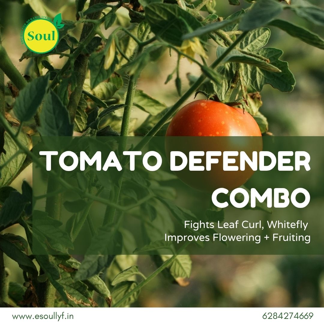 Tomato Defender Combo - SOUL SOCIETY FOR ORGANIC FARMING
