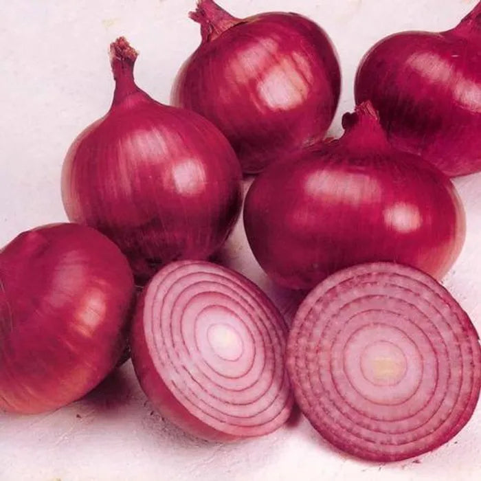 TCBT Onion Seeds
