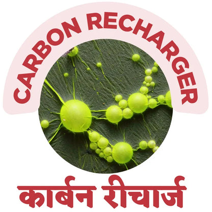 CARBON RECHARGER