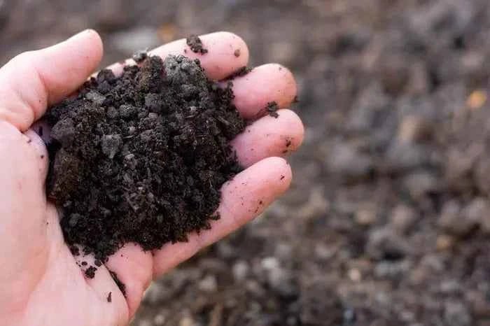 Magnesium Soil | Magnesium Mitti 500gm - SOUL SOCIETY FOR ORGANIC FARMING